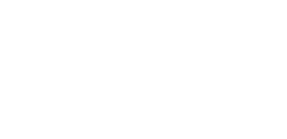 logow-x5